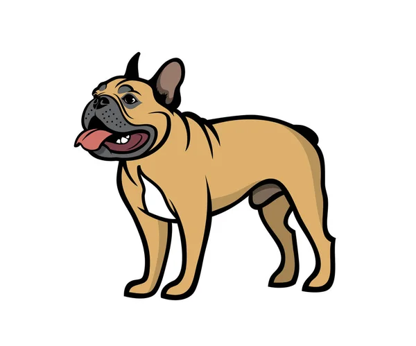 Französische Bulldogge Vektor Illustration — Stockvektor