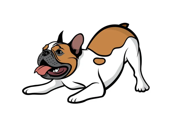 フランスのブル犬のベクトル図 — ストックベクタ