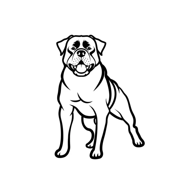 Diseño Ilustración Vectorial Perro Rottweiler Negro Aislado Sobre Fondo Blanco — Vector de stock