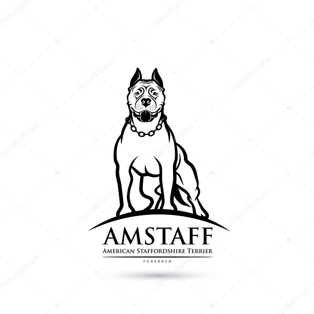 vector illustration design of stafford dog on background