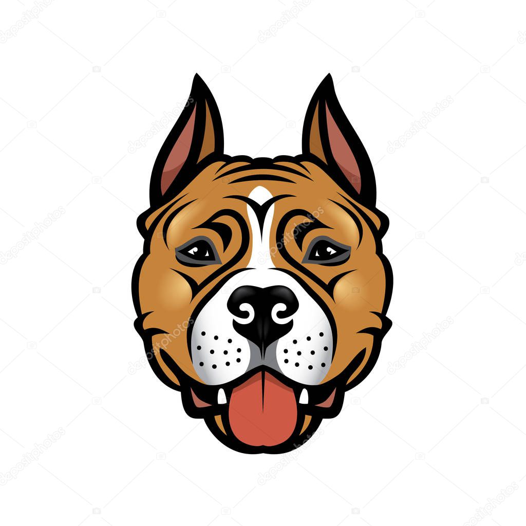 vector illustration design of stafford dog on background