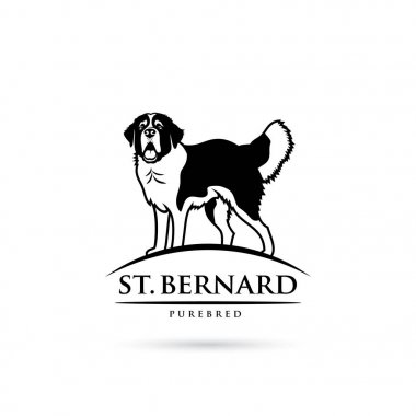St Bernard köpeği vektör illüstrasyon izole