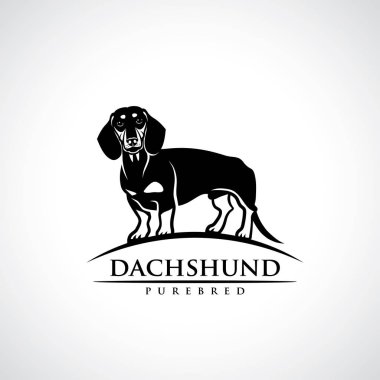 Beyaz metin, vektör çizim ile izole dachshund köpek