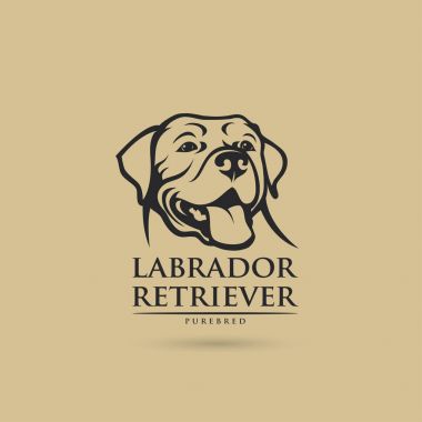 Labrador Retriever köpek logosu, vektör çizim