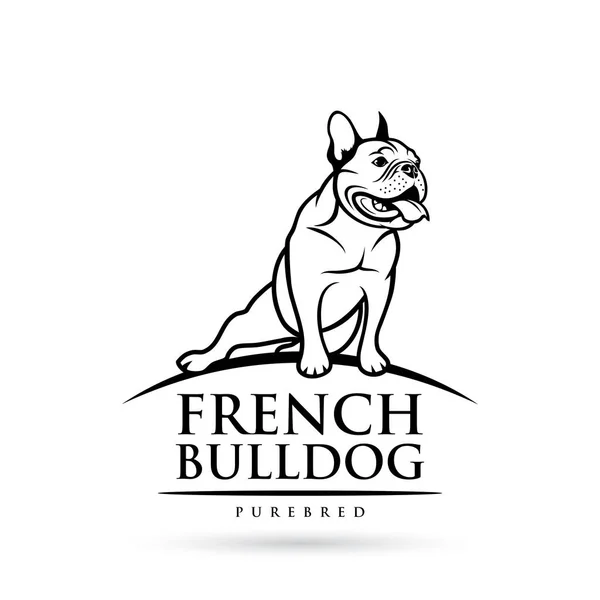 Bouledogue Français Illustration Vectorielle Encadrée Isolée — Image vectorielle