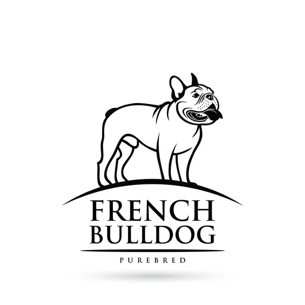 Franse Bulldog Geïsoleerd Geschetst Vectorillustratie — Stockvector