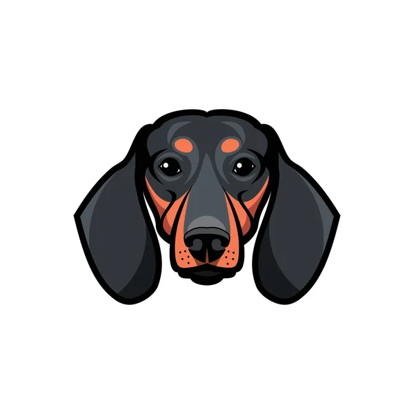 Dachshund Dog Head Isolated White Vector Illustration — Stock Vector