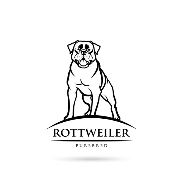 Rottweiler Hund Isolerad Skisserade Vektor Illustration — Stock vektor