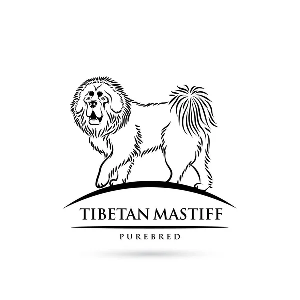 Tibetli Mastiff Köpek Vektör Illüstrasyon Izole — Stok Vektör