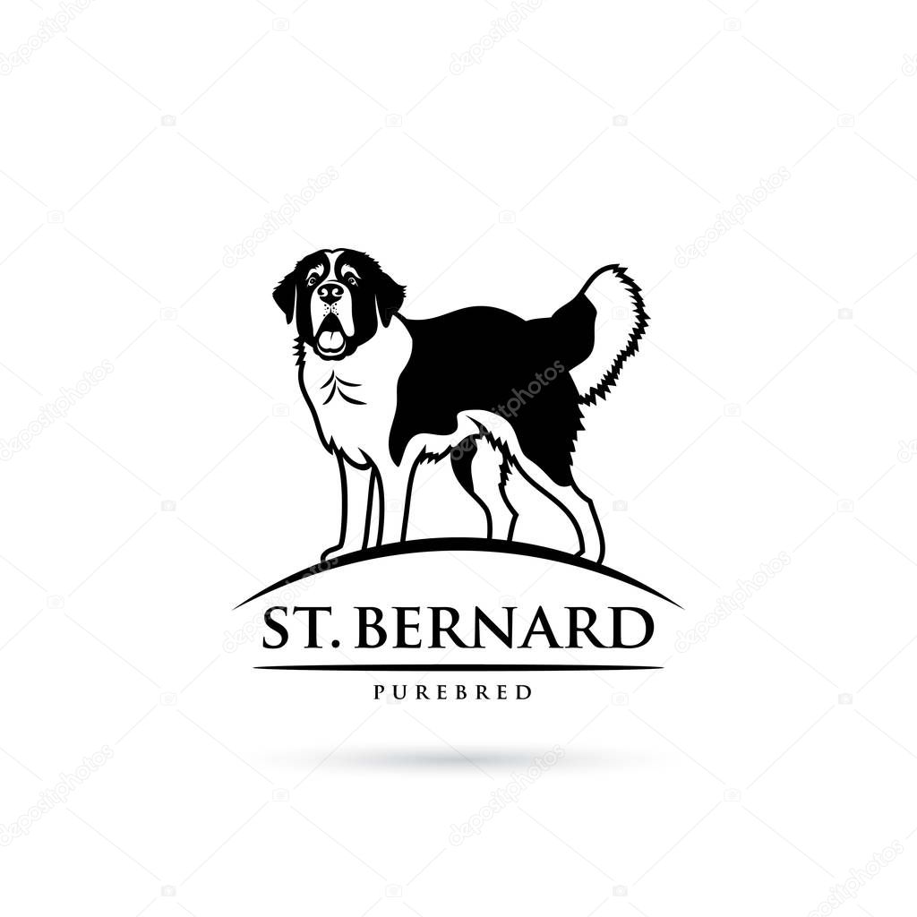 St Bernard dog isolated vector illustration