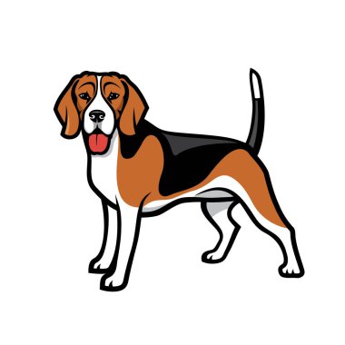Beagle köpek logosu, vektör çizim