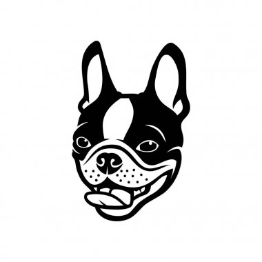 Boston terrier köpek logosu, vektör çizim