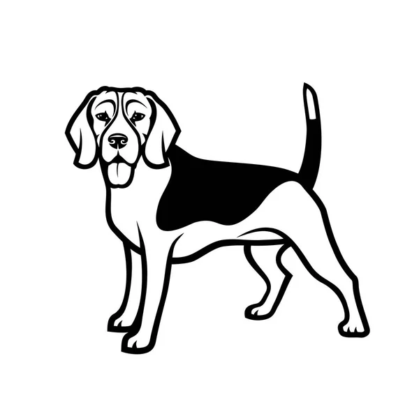 Beagle Dog Logo Vektorillustration — Stockvektor