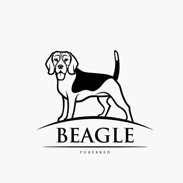 Beagle Hund Logotyp Vektorillustration — Stock vektor