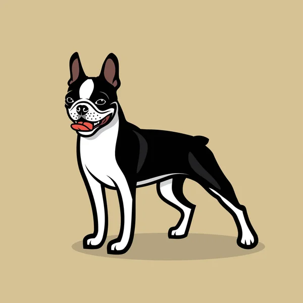 Boston Terrier Perro Logo Vector Ilustración — Archivo Imágenes Vectoriales