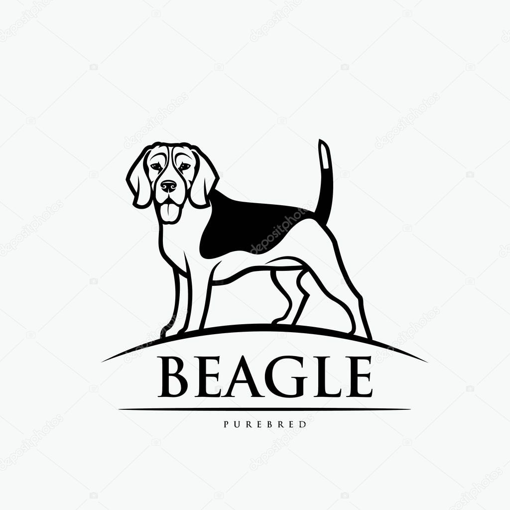 Beagle dog logo, vector illustration