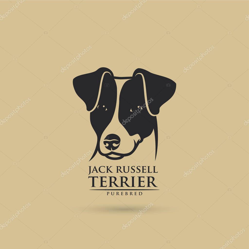 Jack Russell dog logo, vector illustration