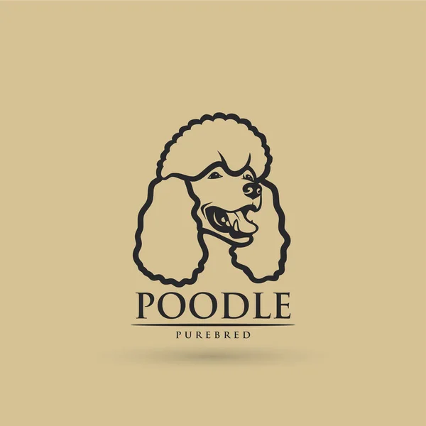 Poodle Isolated Outlined Vector Illustration — Stock Vector