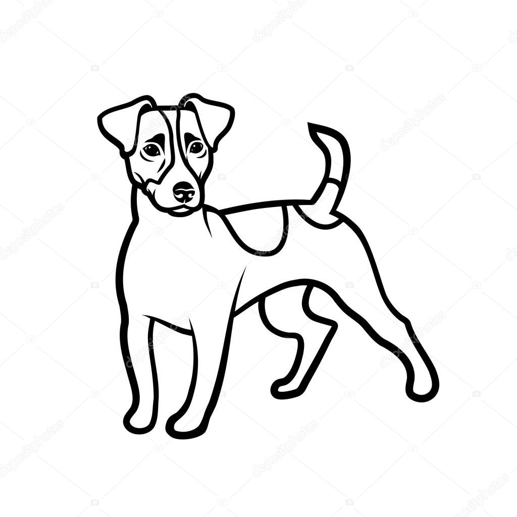 Jack Russell isolated outlined vector illustration