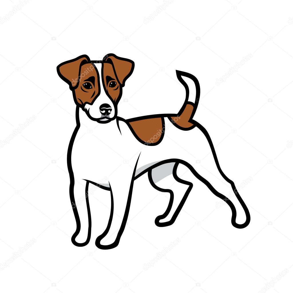 Jack Russell isolated outlined vector illustration