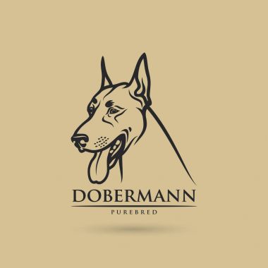 köpek doberman vektör çizim 