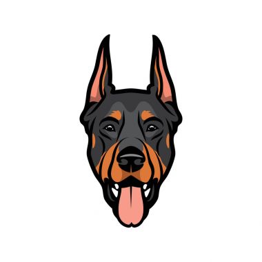 köpek doberman vektör çizim 