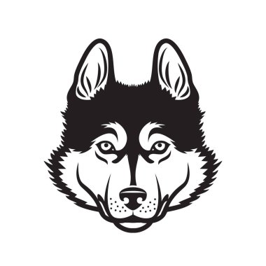 köpek husky vektör çizim 