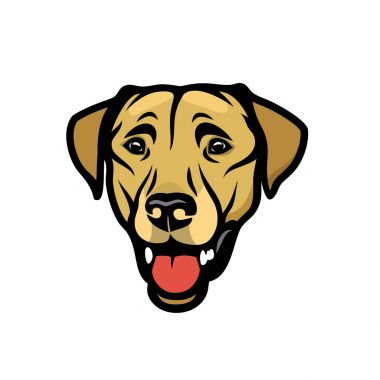 köpek labrador vektör çizim 