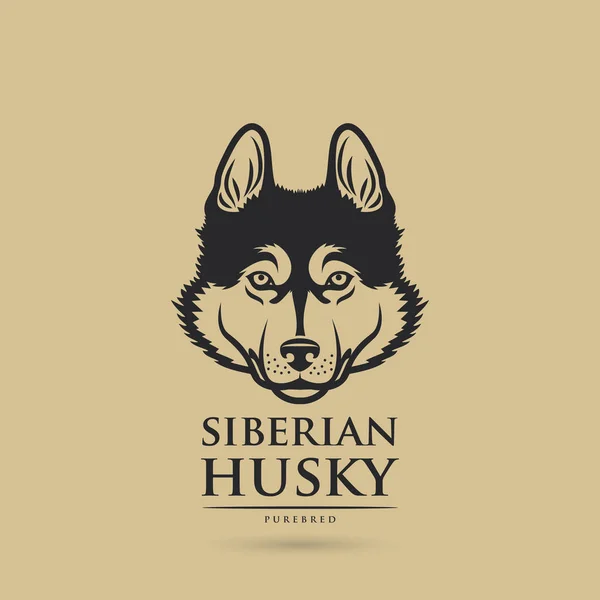 Köpek Husky Vektör Çizim — Stok Vektör