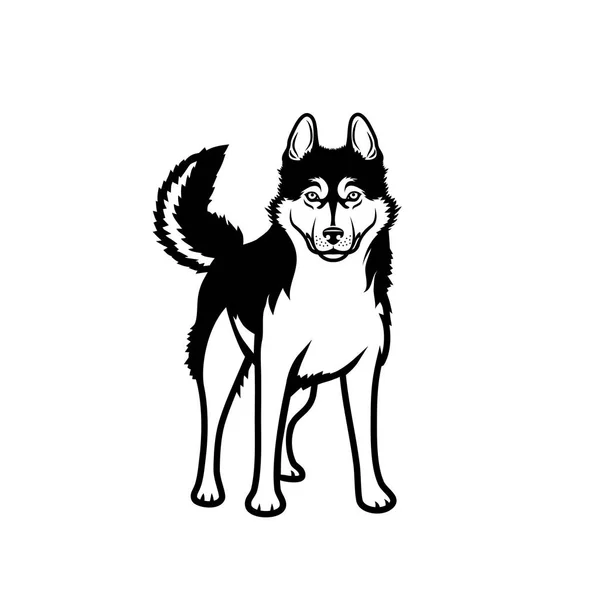 Hond Husky Vectorillustratie — Stockvector