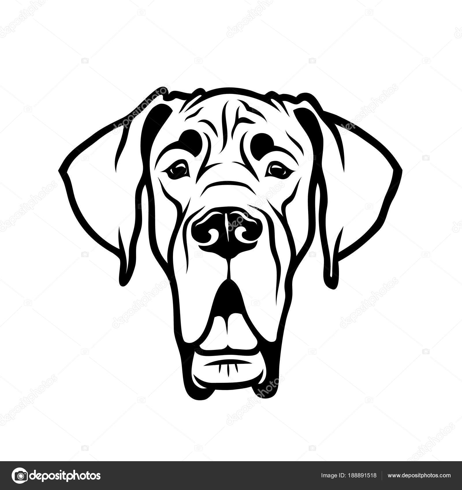 30+ Trends Ideas Great Dane Drawing Images | Armelle Jewellery