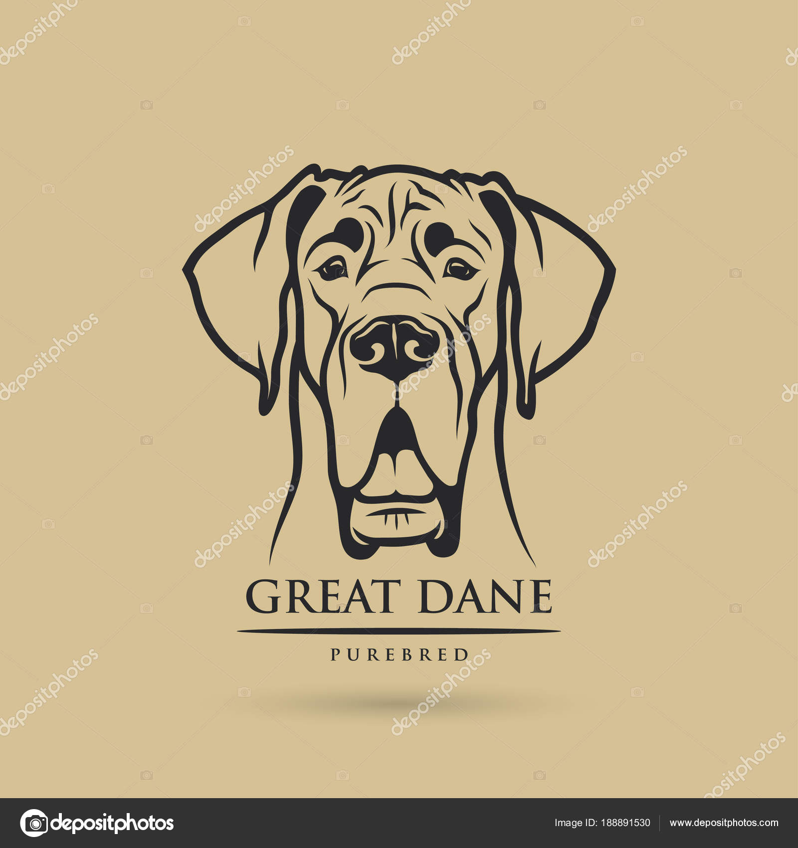 Head Purebred Great Dane Outline Drawing Beige Background Stock Vector