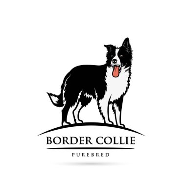 Siyah ve beyaz renkler beyaz arka plan üzerinde izole safkan kömür ocağı