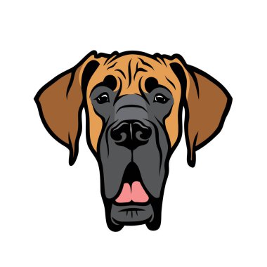 Beyaz arka plan üzerinde izole bej ve siyah renklerde safkan Danua başkanı