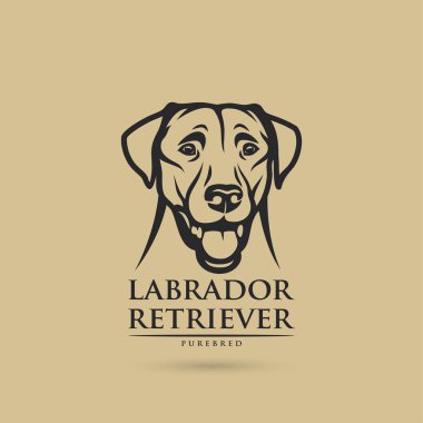Bej renkli arka plan üzerinde çizim safkan labrador anahat başkanı