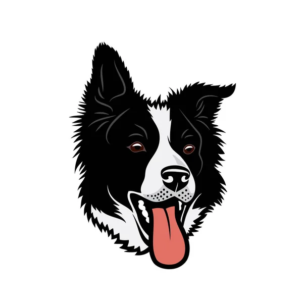 Cabeza Collie Pura Raza Colores Blanco Negro Aislado Sobre Fondo — Vector de stock