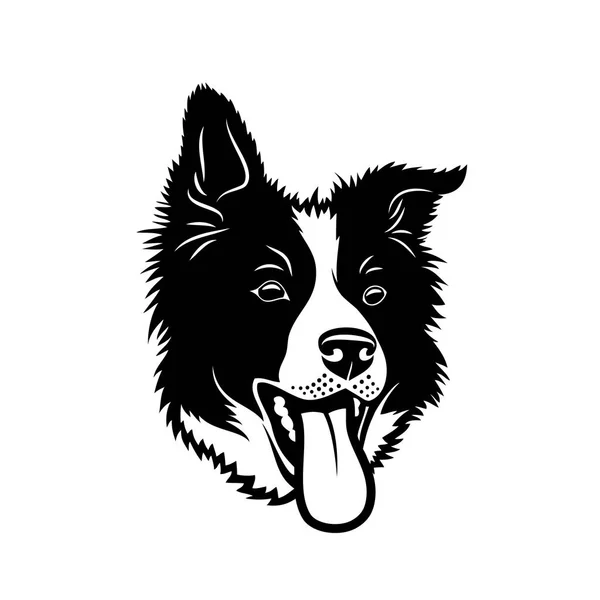 Testa Purosangue Disegno Contorno Collie Isolato Sfondo Bianco — Vettoriale Stock