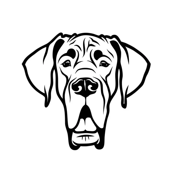 Vezetője Purebredâ Dog Szerkezeti Rajz Elszigetelt Fehér Background — Stock Vector