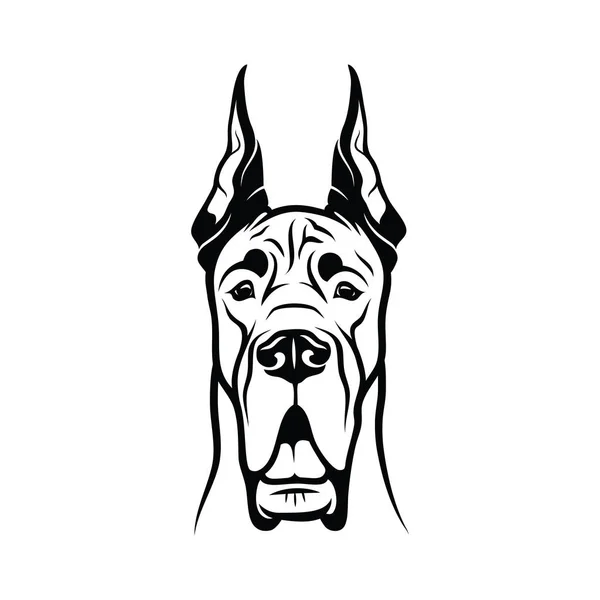 Head Purebred Great Dane Outline Drawing Isolated White Background — Stock Vector