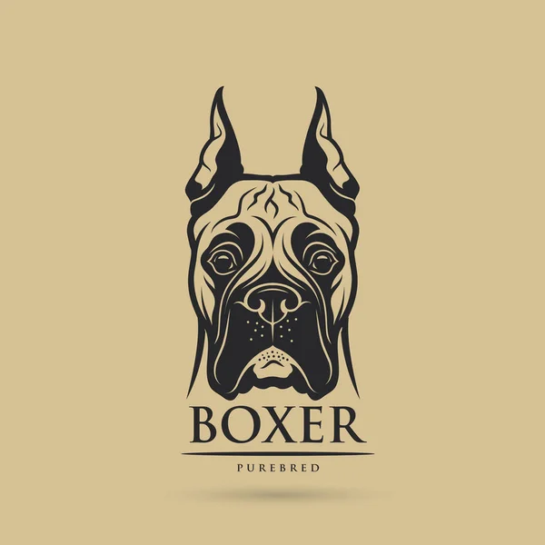 Jefe de boxeador de pura raza — Vector de stock