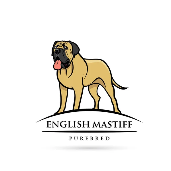 Raszuivere Engelse Mastiff Zwarte Beige Kleuren Geïsoleerd Witte Achtergrond — Stockvector