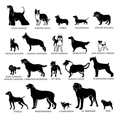 Beyaz arka planda harflerle izole edilmiş çeşitli safkan köpek simgeleri