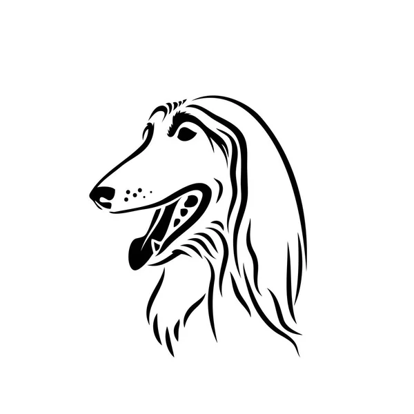 Elégant Chien Afghan Chien Contour Logo Isolé Sur Fond Blanc — Image vectorielle