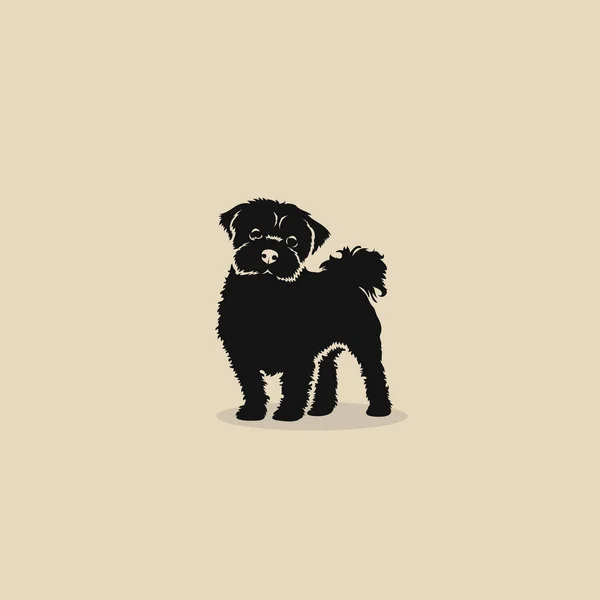 Söpö Maltalainen Koiran Logo Beige Taustalla — vektorikuva