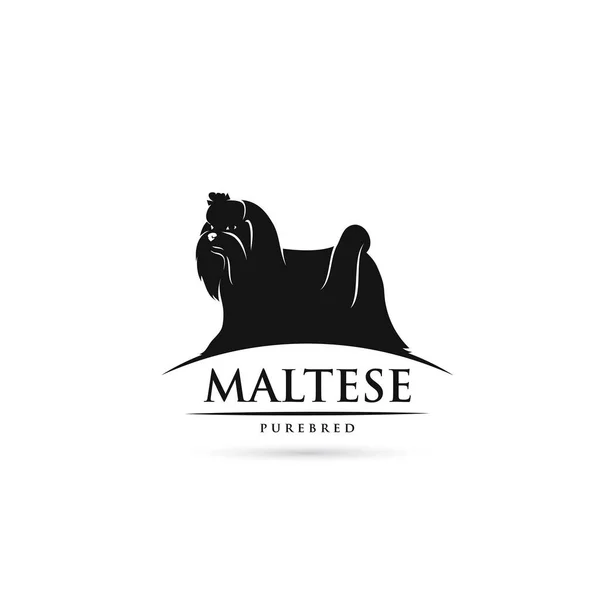 Ícone Cão Maltês Simplesmente Ilustração Vetorial — Vetor de Stock