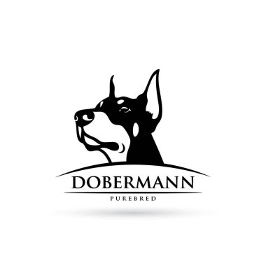 Köpek bej arkaplan üzerine resimleme çizdi