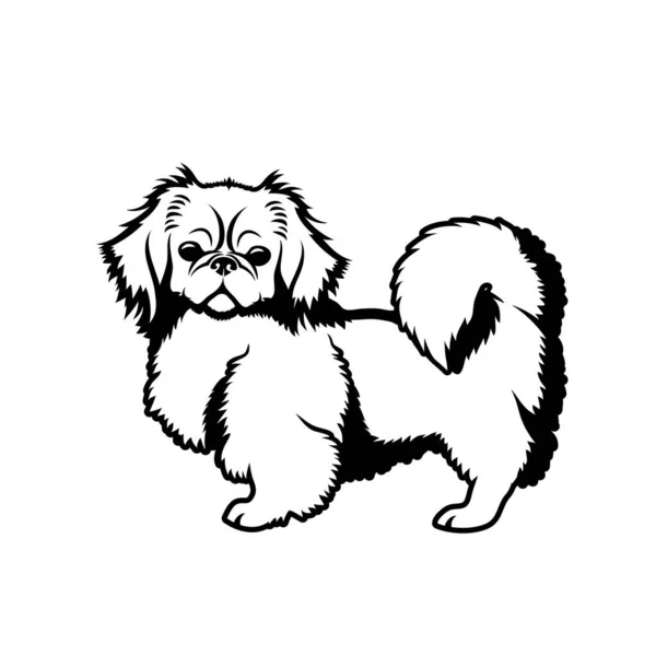Hund Skisserade Illustration Beige Bakgrund — Stock vektor