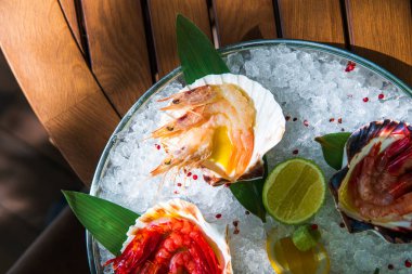 Lezzetli deniz ürünleri aperatifleri taze limonla servis edilir. 
