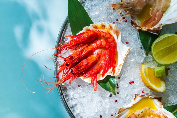 fresh shrimps on ice, top view, food background