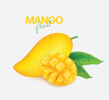 Dilimler ve yapraklarla taze mango Vektör illüstrasyonu 